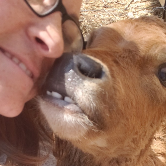 About Salty Shreds - Picture 6 of 6